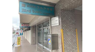 c28H7FFAos2BeGOaYIjY7A==?width