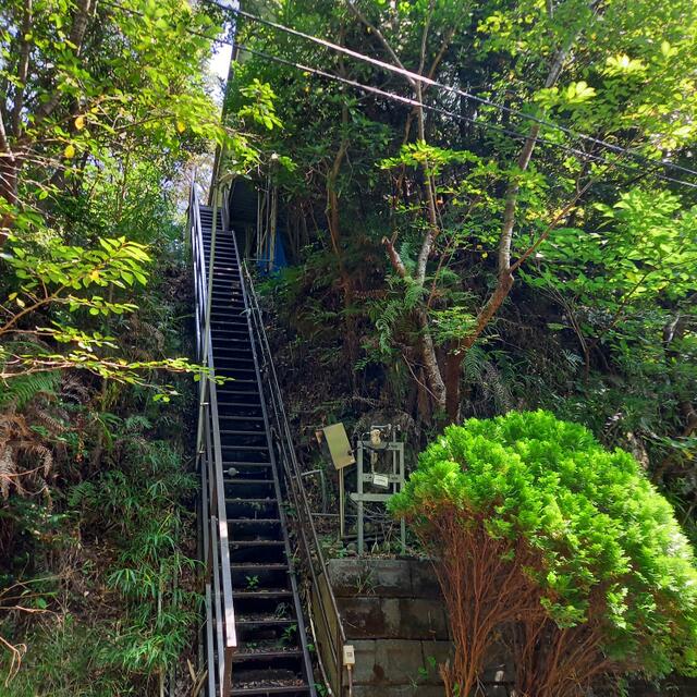 detached 下田市大賀茂