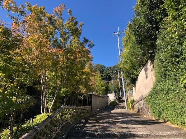 アットホーム 京都市左京区 吉田神楽岡町 出町柳駅 2階建 6ldk 京都市左京区の中古一戸建て 提供元 住友不動産販売 株 京都東営業センター 一軒家 家の購入 アットホーム 京都市左京区 吉田神楽岡町 出町柳駅 2階建 6ldk 京都市左京区の中古一戸建て 提供元 住友不動産販売 株 京都東営業センター 一軒家 家の購入
