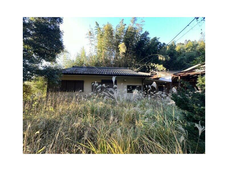 Hitoyoshi City, Shimojō Honmachi (Hitoyoshi Station), single-story building, 2DK