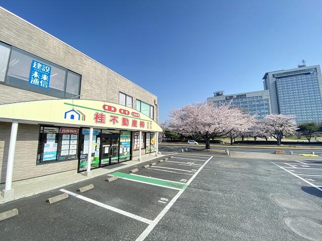 桂不動産株式会社 水戸支店