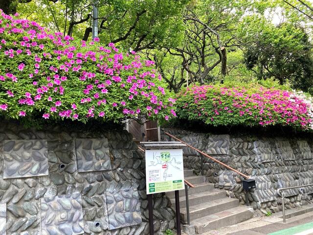 アットホーム 多摩市 貝取1丁目 小田急永山駅 2階建 3sldk 多摩市 の新築一戸建て 提供元 株 大興ネクスタ 一軒家 家の購入 アットホーム 多摩市 貝取1丁目 小田急永山駅 2階建 3sldk 多摩市 の新築一戸建て 提供元 株 大興ネクスタ 一軒家 家の購入