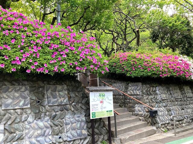 アットホーム 多摩市 貝取１丁目 小田急永山駅 2階建 ３ｓｌｄｋ 多摩市 の新築一戸建て 提供元 株 大興ネクスタ 一軒家 家の購入