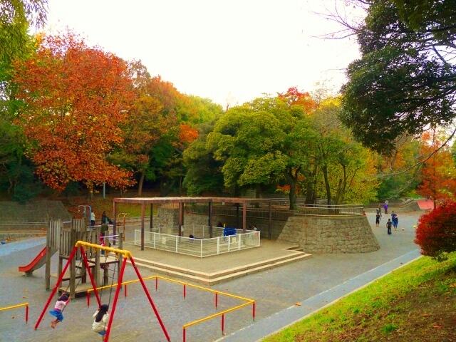 アットホーム 練馬区 豊玉中2丁目 練馬駅 住宅用地 練馬区の土地 売地 宅地 分譲地など土地の購入情報 アットホーム 練馬区 豊玉中2丁目 練馬駅 住宅用地 練馬区の土地 売地 宅地 分譲地など土地の購入情報