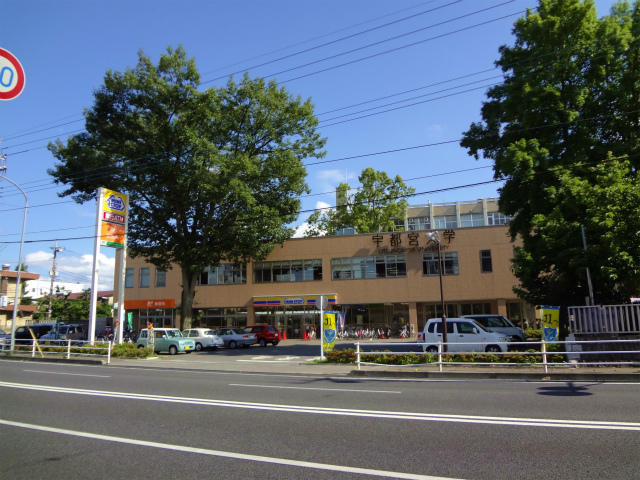 アットホーム コーポ吉田 308 ワンルーム 提供元 オレンジ不動産 宇都宮市の賃貸マンション アットホーム コーポ吉田 308 ワンルーム 提供元 オレンジ不動産 宇都宮市の賃貸マンション