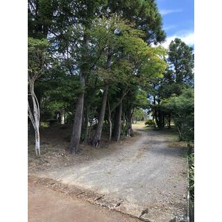detached 燕市小池