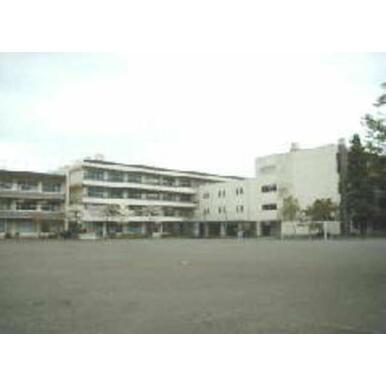 府中市立府中第四中学校 距離：479m