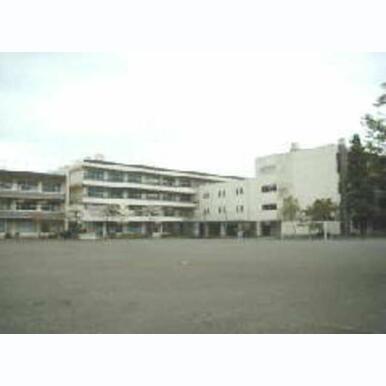 府中市立府中第四中学校 距離:479m