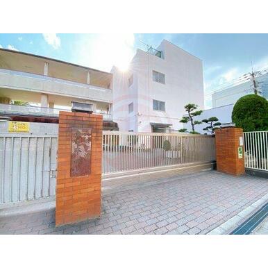 東中本小学校 距離:497m