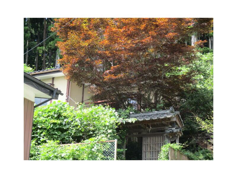 Kamaishi City, Katagishi Town 2nd Chiwari (Usumiai Station) 2-story building 6K