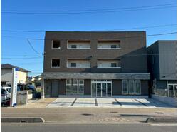 写真：