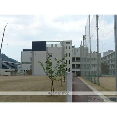 東雲小学校 距離:880m