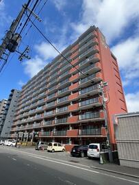 中島 中島大嘉選手 水戸ホーリーホックへ期限付き移籍のお知らせ | 藤枝MYFC