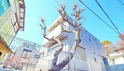 アットホーム 横浜市神奈川区三ツ沢上町の賃貸物件 賃貸マンション アパート 賃貸住宅情報やお部屋探し アットホーム 横浜市神奈川区三ツ沢上町の賃貸物件 賃貸マンション アパート 賃貸住宅情報やお部屋探し