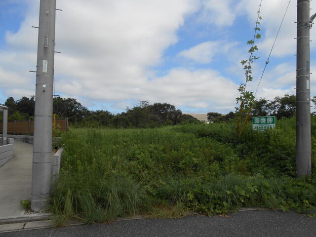 アットホーム】稲敷市光葉の土地探し｜売地・宅地・分譲地など土地の