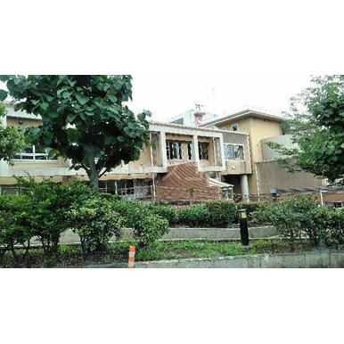川崎市立向丘小学校 距離：1,029m