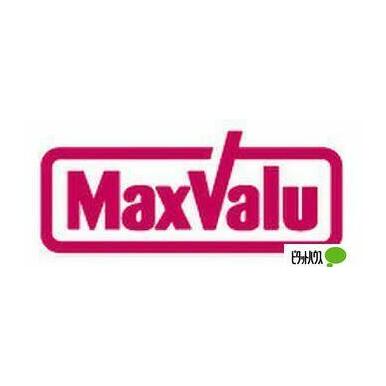 マックスバリュエクスプレス中の島店 距離:866m