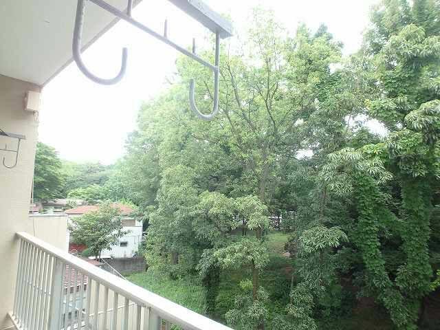 エバー グリーン 志木