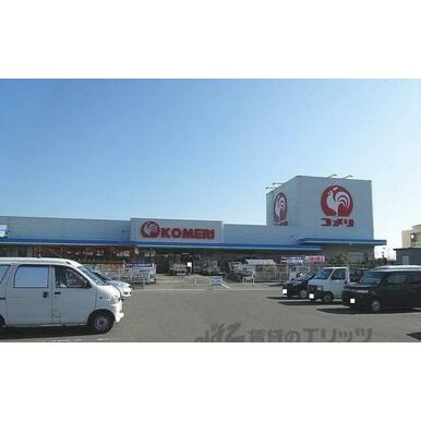 コメリハード＆グリーン　愛知川店 距離：700m