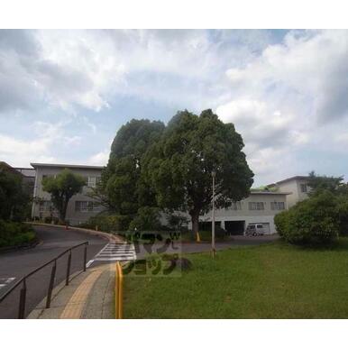 宇多野病院 距離：84m