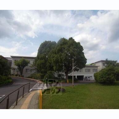 宇多野病院 距離:84m