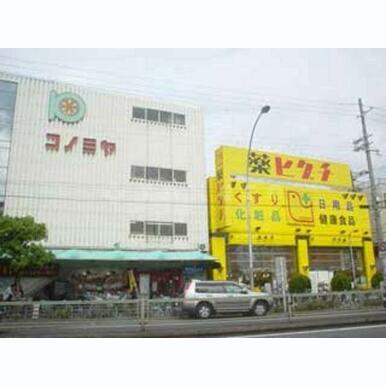 コノミヤ 距離:1,159m