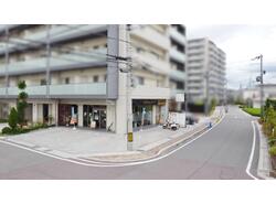 写真：