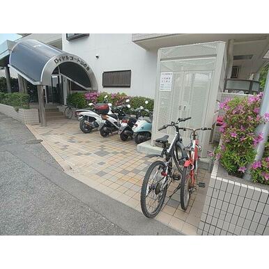 エントランスから綺麗