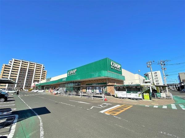 アットホーム 仙台市宮城野区 岩切字鴻巣 岩切駅 2階建 ４ｓｌｄｋ 仙台市宮城野区の新築一戸建て 提供元 株 永大ハウス工業 仙台本店 一軒家 家の購入