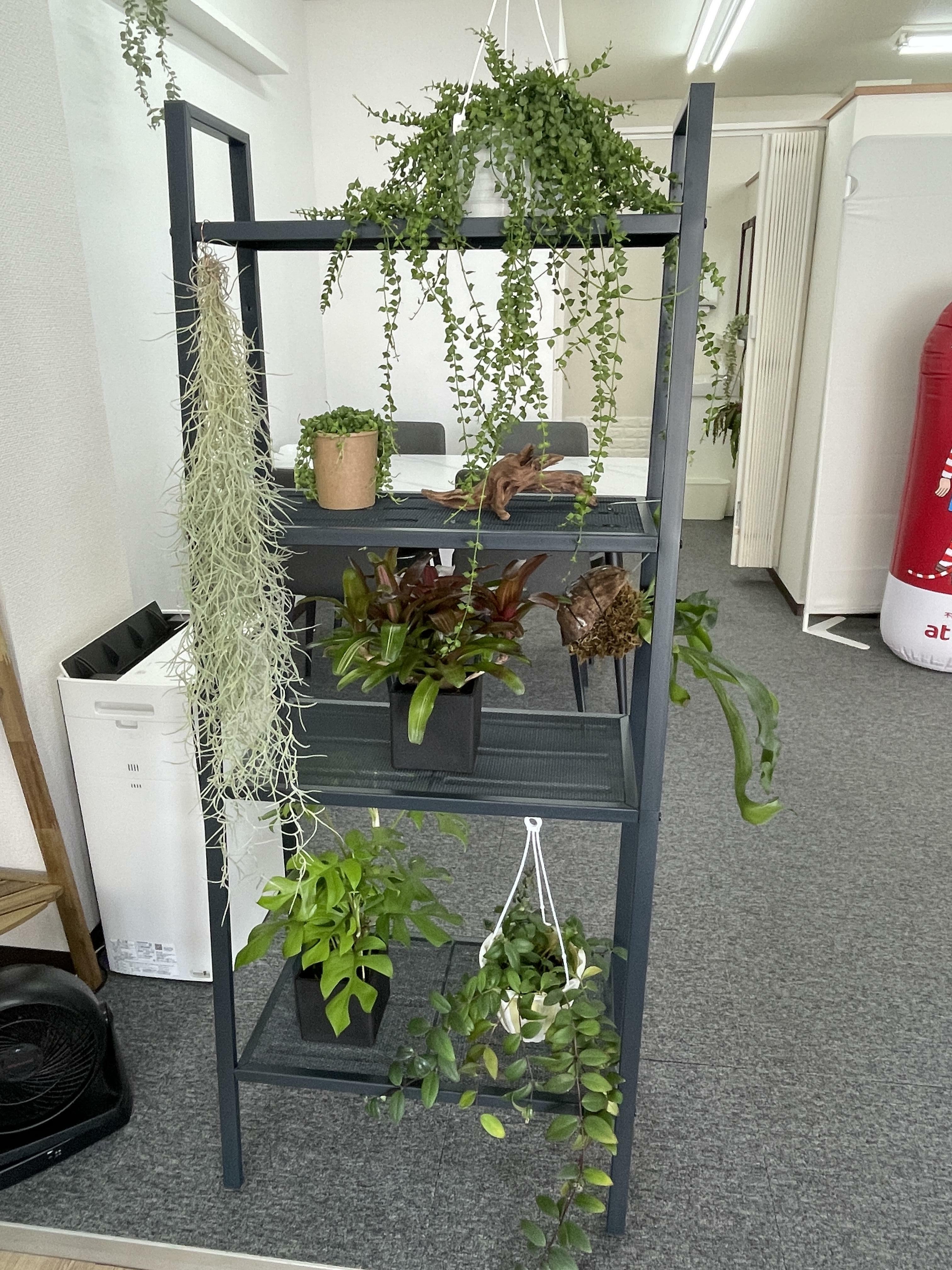 アットホーム】(株)ライズリアルエステート(兵庫県 神戸市西区