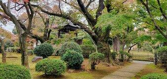 アットホーム ゴールドレジデンシア豪徳寺 ２０１ ワンルーム 提供元 新宿不動産 部屋コレ ｒｏｏｍ ｃｏｌｌｅｃｔｉｏｎ 株 世田谷 区の賃貸マンション