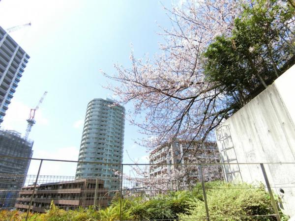 アットホーム オープンレジデンシア目黒花房山 2階 ３ｌｄｋ 品川区の中古マンション マンション購入の情報