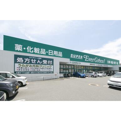 エバグリーン宮街道店 距離:1,109m