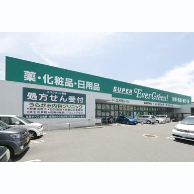 エバグリーン宮街道店 距離:1,109m