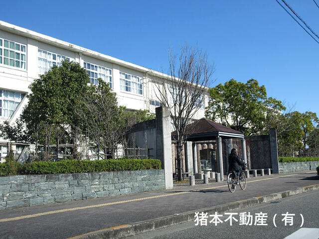 アットホーム 徳島市 北沖洲1丁目 平屋建 7dk 徳島市の中古一戸建て 提供元 猪本不動産 有 一軒家 家の購入 アットホーム 徳島市 北沖洲1丁目 平屋建 7dk 徳島市の中古一戸建て 提供元 猪本不動産 有 一軒家 家の購入