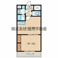福岡市博多区 博多駅南３丁目（博多駅） 5階 １DKの間取り図