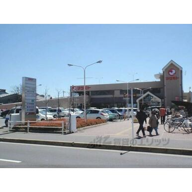 スーパーマツモト伏見店 距離：800m