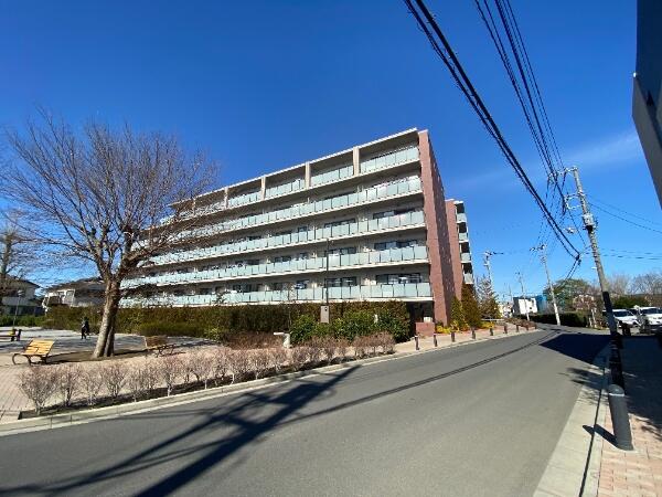 トップ100 花 小金井 ガーデン 最高の花の画像