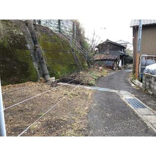 detached 吉野川市川島町川島字城山