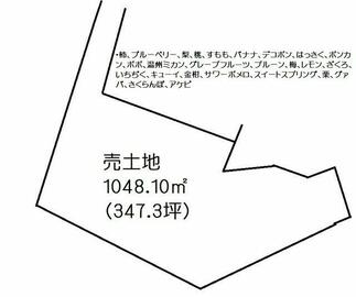 アットホーム】鹿児島市 喜入瀬々串町（瀬々串駅） 畑・農地用地