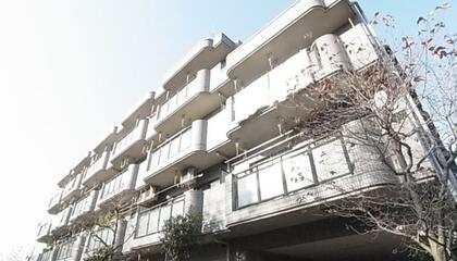 調布市深大寺東町でペット可 ペット相談可の賃貸物件一覧 アットホーム 賃貸マンション アパート 貸家 調布市深大寺東町でペット可 ペット相談可の賃貸物件一覧 アットホーム 賃貸マンション アパート 貸家