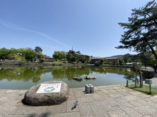 アットホーム エステムコート奈良セントテラス 2階 １ｓｌｄｋ 奈良市の中古マンション マンション購入の情報