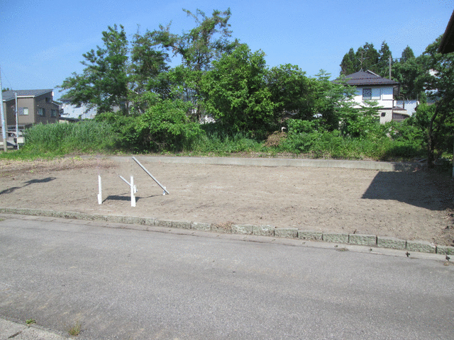 山田秋坪 花図 箱なし MA910