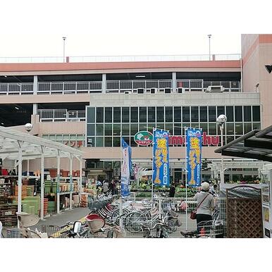 ｌｄｋ１５ １帖 ダイアパレス猿江恩賜公園 猿江ｓｅｌｅｃｔｉｏｎ 6階 ３ｌｄｋ 江東区の中古マンション アットホーム マンション購入の情報