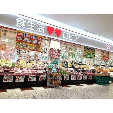 ロピア ららぽーと海老名店 距離：1,154m