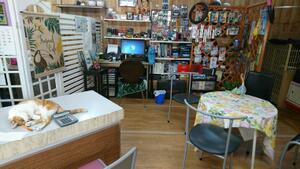 アットホーム 有 ｋｒコーポレーション 福岡県 北九州市八幡西区 アットホーム加盟店