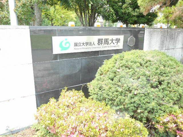 アットホーム パレスパルミエａ 2階 ワンルーム 提供元 株 ミニミニ 前橋店 前橋市の賃貸マンション