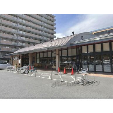 いそかわパケット　十条店 距離：700m