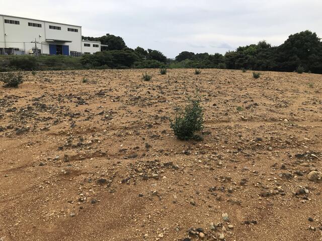 アットホーム 浜松市中区 西丘町 事業用地 浜松市中区の土地 売地 宅地 分譲地など土地の購入情報 アットホーム 浜松市中区 西丘町 事業用地 浜松市中区の土地 売地 宅地 分譲地など土地の購入情報