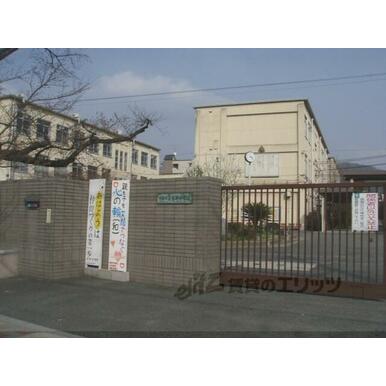 高野中学校 距離:330m